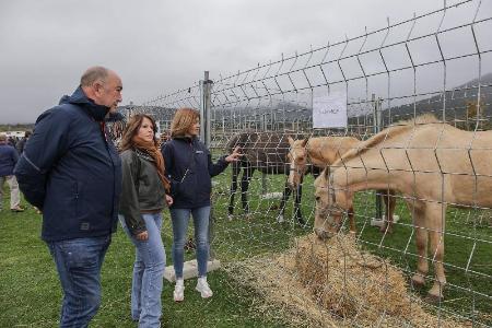 Imagen Ganado, tradición y sabores de la provincia conquistan en Navafría a vecinos y visitantes en la novena parada de la Caravana de Alimentos de Segovia de la Diputación